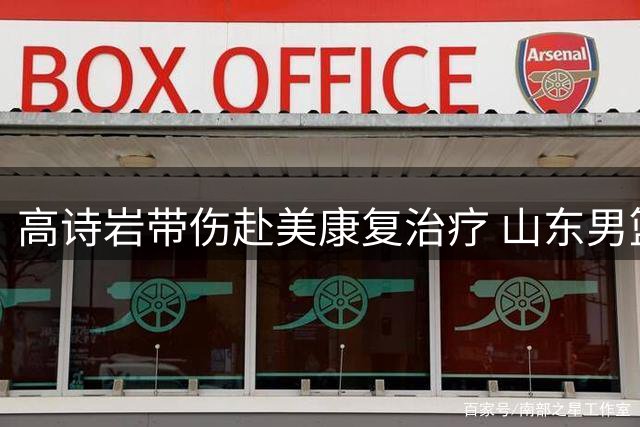高诗岩带伤赴美康复治疗 山东男篮顶薪续约背后暗藏隐忧